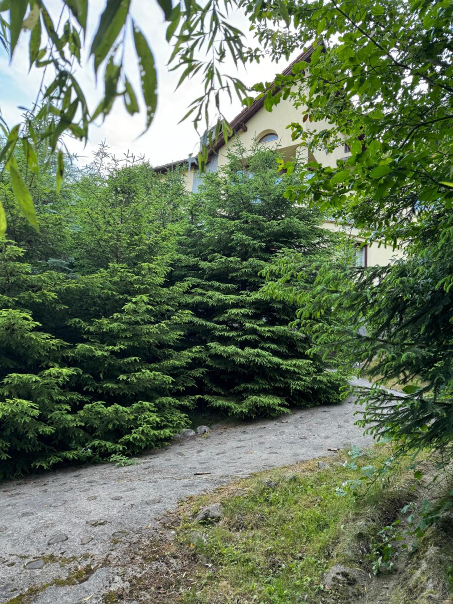 Pensiunea Ego Bran  Exterior photo